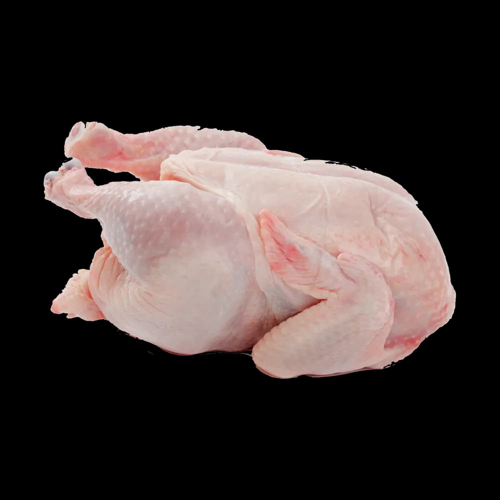 Chicken Meat — image 1
